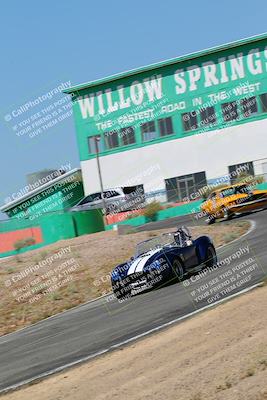 media/May-07-2022-Cobra Owners Club of America (Sat) [[e681d2ddb7]]/White/Session 1 (Turn 4)/